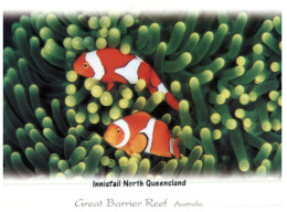 (326) Australia - QLD - Great Barrier Reef - (with Stamp At Back Of Card) - Great Barrier Reef