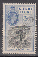 SIERRA LEONE   SCOTT NO. 199   USED    YEAR  1956 - Sierra Leone (...-1960)