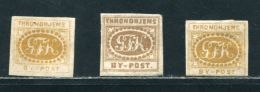 NORWAY TRONDHEIM CITY POST GEORG KROGH 1865 - Lokale Uitgaven