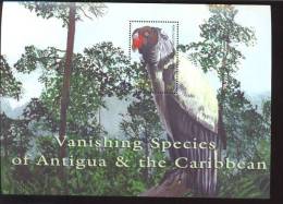 ANTIGUA & BARBUDA   2506  MINT NEVER HINGED SOUVENIR SHEET OF ENDANGERED BIRDS   #  0071  ( - Non Classificati
