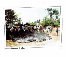 TRINIDAD ET TOBAGO : The Catch Of The Day - Pêcheurs Filet Poissons - Trinidad