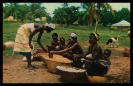 BISSAU - FEIRAS E MERCADOS - Mercado Nativo ( Ed. Foto Serra Nº 103)  Carte Postale - Guinea Bissau