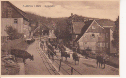 AK Altenau I. Harz - Bergstraße - Kühe (25391) - Altenau