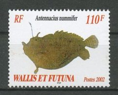 WALLIS FUTUNA 2002 N° 585 ** Neuf = MNH Superbe Cote 3,10 € Poissons Fishes Faune Animaux Fauna - Neufs