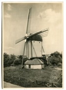 MOULIN - Entier Postal Des Pays Bas 7 1/2 Cent : Moulin N°3 - Molinos