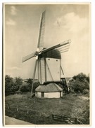 MOULIN - Entier Postal Des Pays Bas 7 1/2 Cent : Moulin N°3 - Windmills