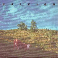 HALCION - Squelch - 45t - QUIXOTIC RECORDS - POST PUNK - Punk