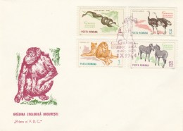 #BV4054  ZOO,A NIMALS, BUCURESTI ZOO , FDC, 1964, ROMANIA. - Chimpanzees