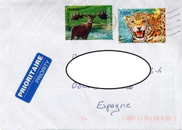 France Cover - Deer / Jaguar - Big Cats (cats Of Prey)