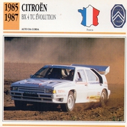 Auto Da Collezione  "Citroèn 1985 BX 4 TC Evolution"  (Francia) - Engine