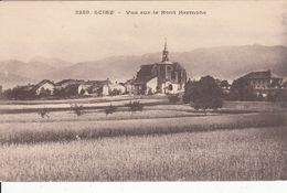 G , Cp , 74 , SCIEZ , Vue Sur Le Mont Hermone - Sciez