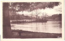 CPSM 42 - Belmont - L'Etang - Belmont De La Loire