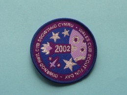 Boy Scouts Badge : WALES CUB SCOUT FUN DAY 2002 ( Zie Foto Voor Detail ) ! - Pfadfinder-Bewegung