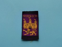 Boy Scouts Badge : NORWICH ( Zie Foto Voor Detail ) ! - Scoutismo
