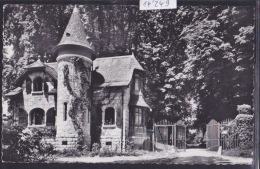 Bossey - Céligny ( Genève Canton ) - Château De Bossey (14´249) - Céligny