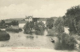 Mussy-sur-Seine  (10.Aube)  Bords De La Seine - Mussy-sur-Seine