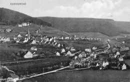 CPA - BAIERSBRONN (Allemagne-Bade-Wurtemberg) - Blick Vo 1916 - Baiersbronn