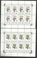 Russie N° 5988 / 92 F  XX : Flore : Plantes D´appartement, Les 2 Feuilles Sans Charnière, TB - Ganze Bögen