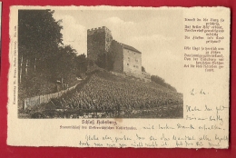 FIM-17  Schloss Habsburg.   Pionier.  Gelaufen In Lenzburg In 1900. Briefmarke Fehlt - Lenzburg