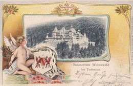 ALLEMAGNE--SANATORIUM WEHRAWALD Bei TODTMOOS---(état Moyen Coin Déchiré )--voir 2 Scans - Todtmoos