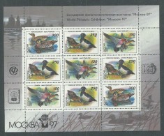 Russie N°  6078 / 80a F XX : Faune : Canards,  La Feuille Surchargée Pour L'expo "Moscou '97"  Sans Charnière, TB - Feuilles Complètes