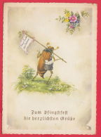 217340 /  Zum Pfingstfest Die Herzlichsten Grüsse  Illustrator ?? -  POSTMAN Insect Beetle , PZB  Germany Deutschland - Pinksteren