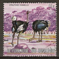 BURUNDI   -   AUTRUCHES   -   Oblitéré - Ostriches