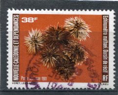 NOUVELLE CALEDONIE  N°  215  (Y&T)   (Poste Aérienne)  (Oblitéré) - Used Stamps