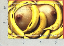 CARTOLINA VG SPAGNA - FUERTEVENTURA - Typical Fruit - Seni - Banane - 12 X 17 - ANN. 2006 - Fuerteventura