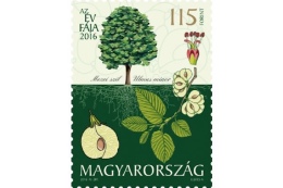 HUNGARY - 2016. Tree Of The Year 2016 : The Field Elm/Ulmus Minor  MNH!! - Nuovi