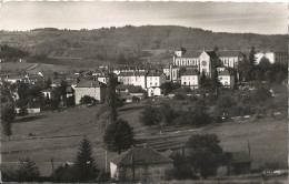 CPSM Belmont Vue Générale - Belmont De La Loire