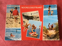 Nederland Ameland Noordzeestrand 1968 - Ameland
