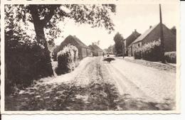 GEEL - BEL: De Oude Dorpstraat - Geel