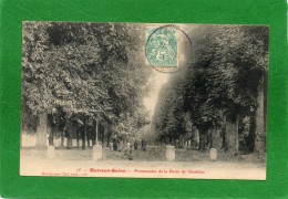 10 - BAR-SUR-SEINE - PROMENADE DE LA PORTE DE CHATILLON ANIMATION CPA Année 1906 EDIT Bourgogne-THEVENIN - Bar-sur-Seine