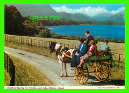 KILLARNEY, IRELAND - TRADITIONAL JAUNTING CAR TOURING LOWER LAKE - ANIMATED - JOHN HIDE ORIGINAL No 2/4 - - Kilkenny