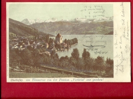Delcampe - FIO-08 Oberhofen Am Thunersee Von Der Pension Victoria Aus Gesehen. Pionier. Gelaufen In 1900 - Oberhofen Am Thunersee