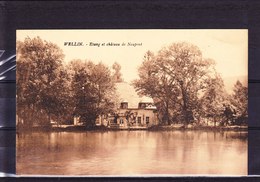 WELLIN: Etang Et Château De Neupont - Wellin