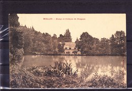 WELLIN: Etang Et Château De Neupont - Wellin