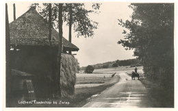 Lochem, Landschap Bij Zwiep - Lochem