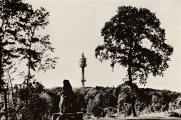 AK Kyffhäuser -Blick Zum Fernseh-Sendeturm - Karte N. Gel - Kyffhaeuser