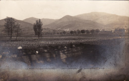 CP Photo Février 1916 CERNAY (Sennheim) - Position Allemande, Une Vue (A156, Ww1, Wk 1) - Cernay