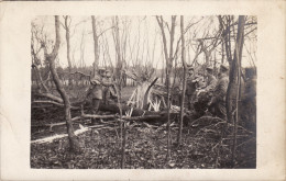 CP Photo Décembre 1914 Bois De LUTZELHOF (Cernay) - Un Arbre éclaté, Soldats Allemands (A156, Ww1, Wk 1) - Cernay
