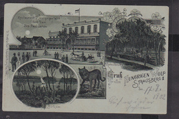 A6x /    Litho Strausberg , Gasthaus Hungriger Wolf 1902 - Strausberg