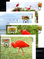 WWF-Set 101 Rotsichler TRINIDAD 596/9 **/FDC/MC 77€ Naturschutz Dokumentation 1990 Wildlife Birds Stamps Fauna Of TOBAGO - Flamingos