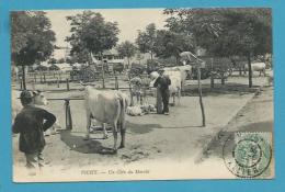 CPA 192 - Maquignons Un Coin Du Marché Aux Bestiaux VICHY 03 - Vichy