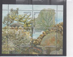 MAYOTTE - Faune - Coraux De Mayotte : Corail Corne D'élan, Gorgone éventail, Cerveau De Neptune, Corail Corne De Serf - - Unused Stamps