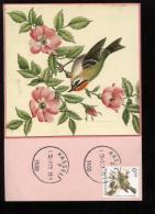 Belgie Buzin Vogels Birds 2424  Maximumkaart RR Carte Maximum Card 30/9/1991 Hasselt - 1991-2000