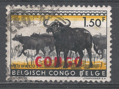 Congo Democratic Republic 1960. Scott #346 (U) Fauna, Black Buffaloes - Usados