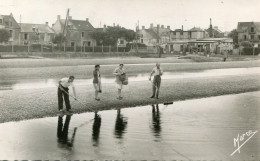 COURSEULLES SUR MER(CALVADOS) HUITRE - Courseulles-sur-Mer