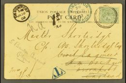 1903 (Dec 31) Picture Postcard To England Bearing QV ½d Tied By Port Royal Cds; Alongside Handstamped "T"... - Jamaica (...-1961)